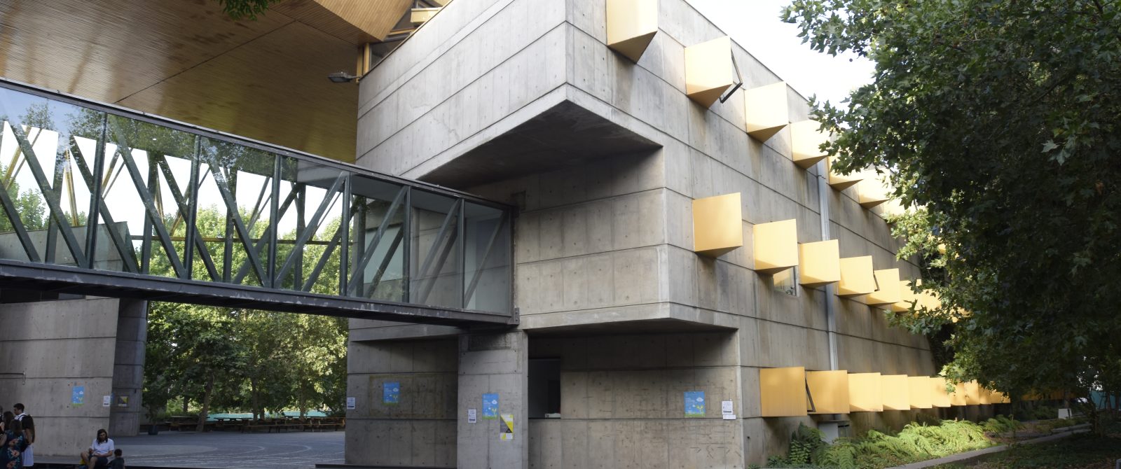 Cuerpo académico inicio