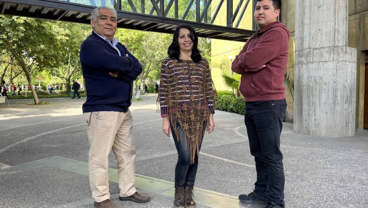 Gloria Sotomayor, Luis Escobar, Myriam Navarrete y Marcos Gónzalez, profesionales y administrativos de la Facultad de Educación UC