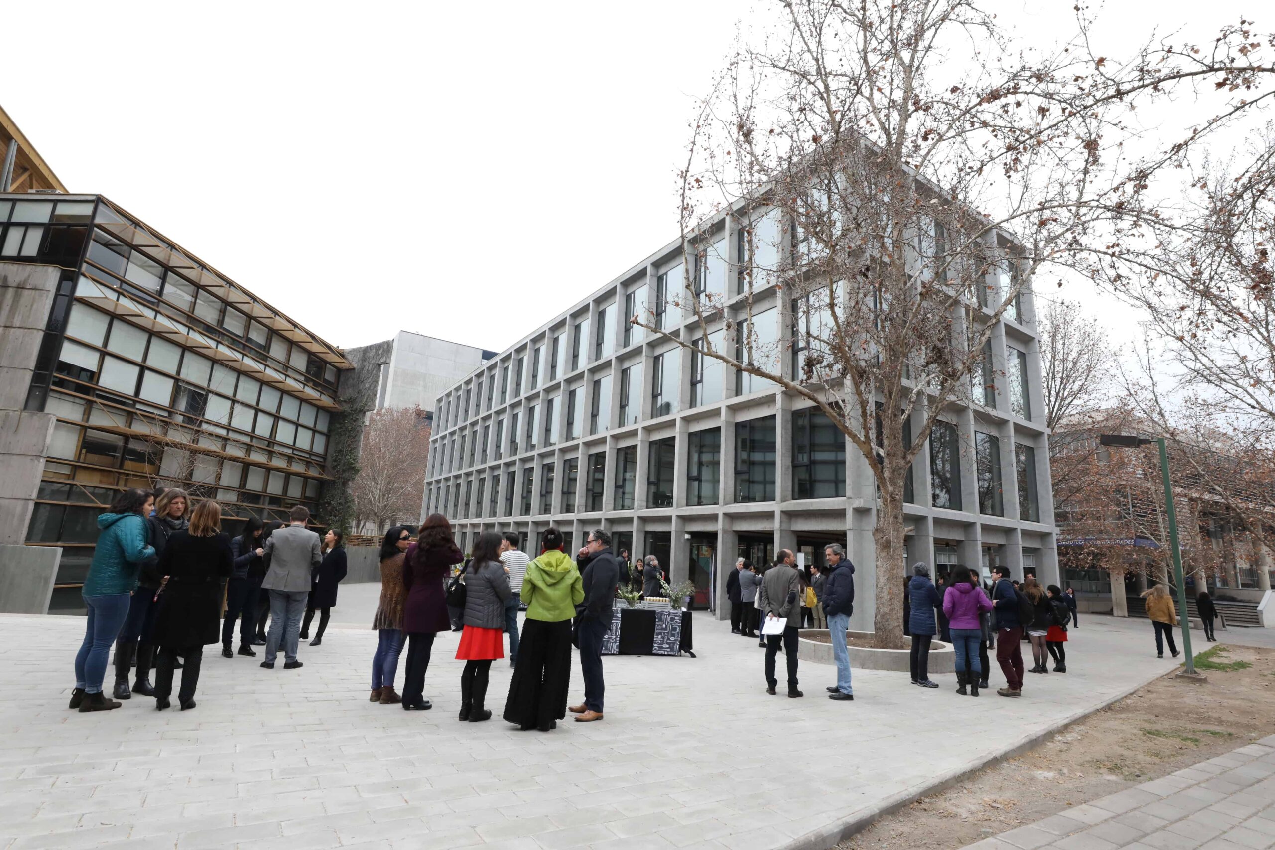 Educación UC se adjudica 7 FONDECYT regulares y apuesta fuerte por investigación en educación