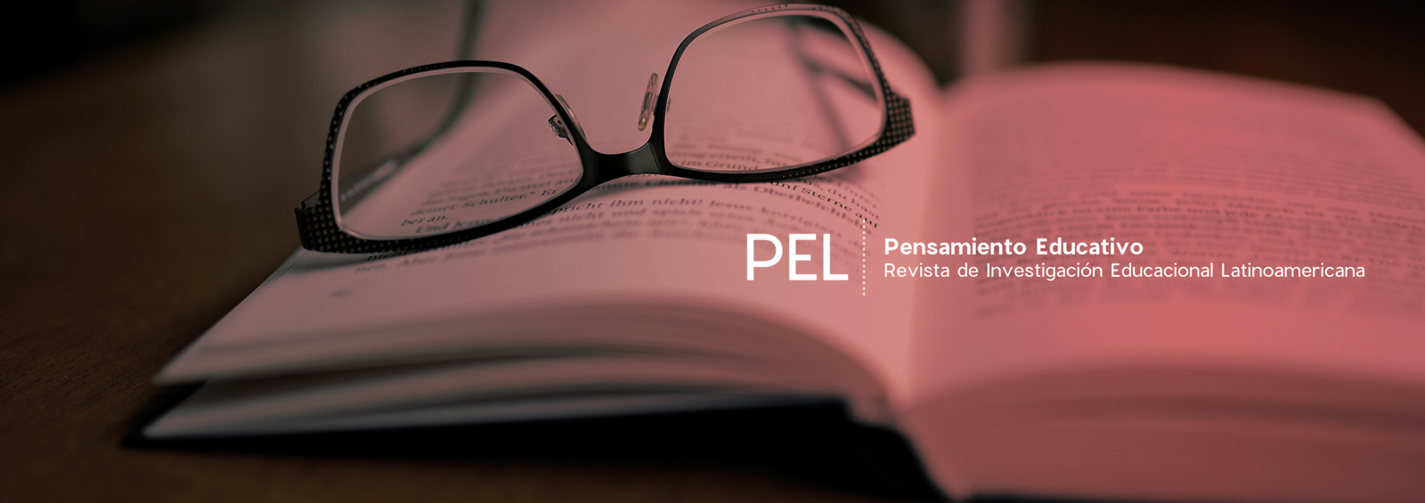 Revista PEL publica nuevo volumen